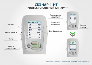 СКЭНАР-1-НТ (исполнение 01)  в Пересвете купить Скэнар официальный сайт - denasvertebra.ru 