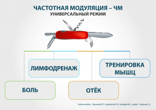 СКЭНАР-1-НТ (исполнение 01)  в Пересвете купить Скэнар официальный сайт - denasvertebra.ru 