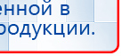 Электроды Скэнар -  двойной овал 55х90 мм купить в Пересвете, Электроды Скэнар купить в Пересвете, Скэнар официальный сайт - denasvertebra.ru